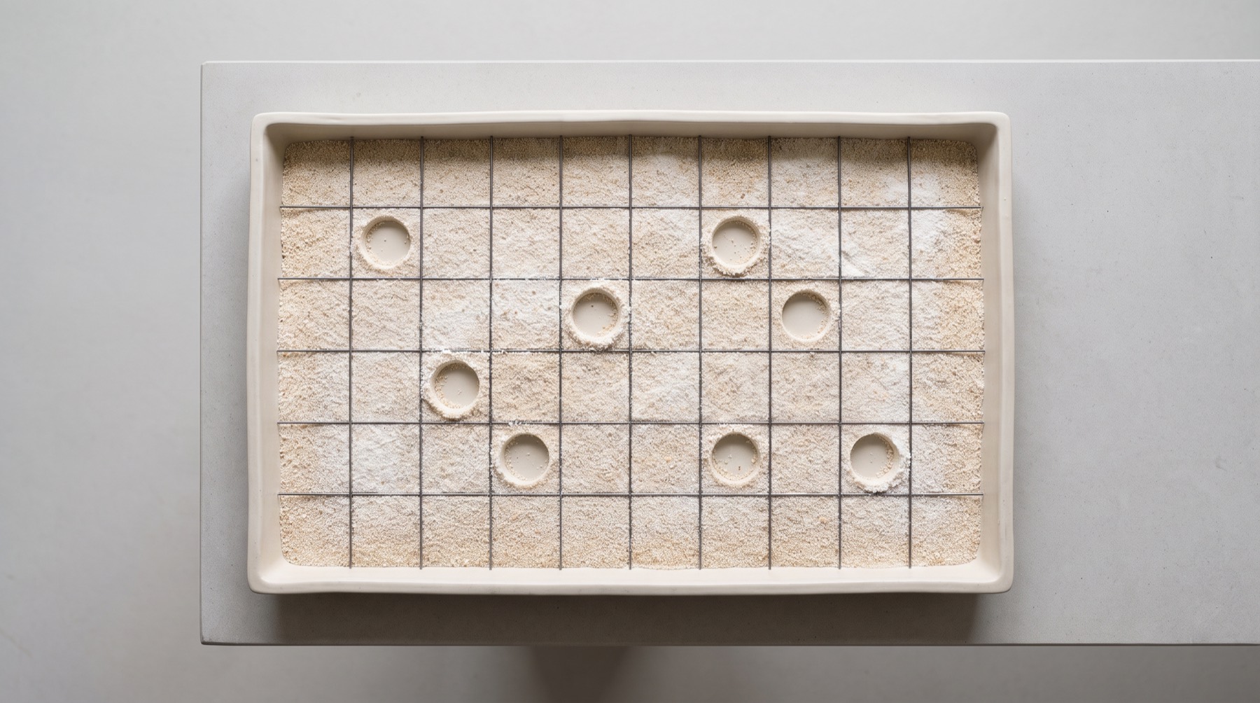 A wide shallow tray of granular material with a square grid marked across it and small portions removed from scattered cells